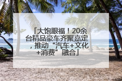 大饱眼福！20余台精品豪车齐聚嘉定，推动“汽车+文化+消费”融合
