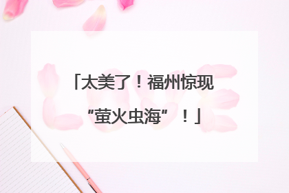 太美了！福州惊现“萤火虫海”！