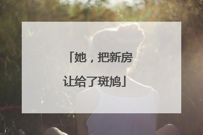 她，把新房让给了斑鸠