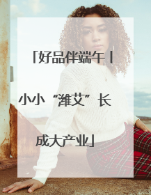 好品伴端午丨小小“潍艾”长成大产业
