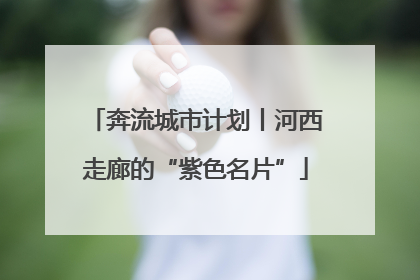 奔流城市计划丨河西走廊的“紫色名片”