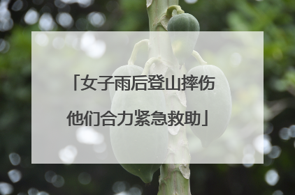 女子雨后登山摔伤 他们合力紧急救助