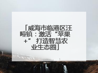 威海市临港区汪疃镇：激活“苹果+” 打造智慧农业生态圈