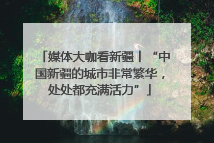 媒体大咖看新疆丨“中国新疆的城市非常繁华，处处都充满活力”