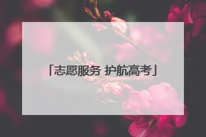 志愿服务 护航高考