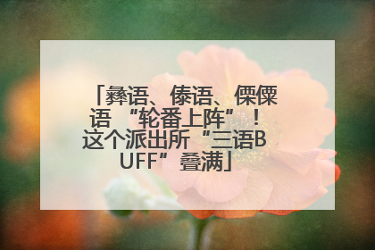 彝语、傣语、傈僳语 “轮番上阵”！这个派出所“三语BUFF”叠满
