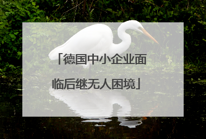 德国中小企业面临后继无人困境