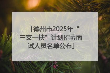 德州市2025年“三支一扶”计划招募面试人员名单公布