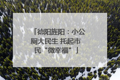 德阳旌阳：小公厕大民生 托起市民“微幸福”