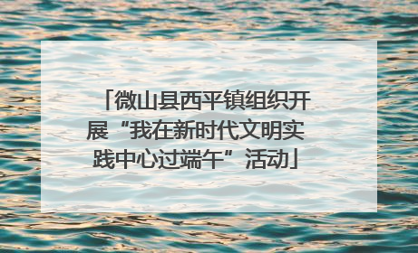 微山县西平镇组织开展“我在新时代文明实践中心过端午”活动