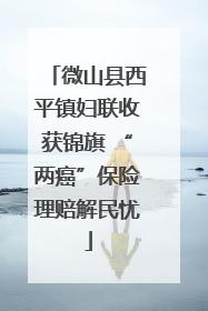 微山县西平镇妇联收获锦旗 “两癌”保险理赔解民忧