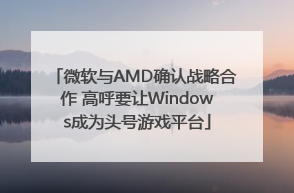 微软与AMD确认战略合作 高呼要让Windows成为头号游戏平台