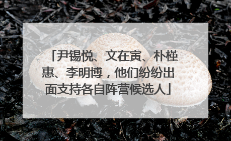尹锡悦、文在寅、朴槿惠、李明博，他们纷纷出面支持各自阵营候选人