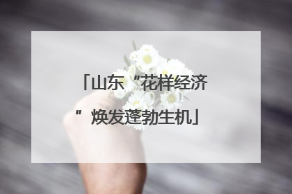 山东“花样经济”焕发蓬勃生机