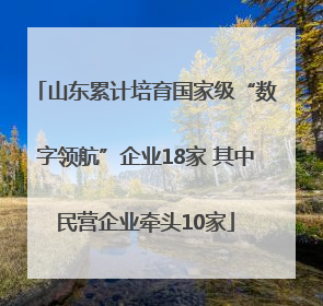 山东累计培育国家级“数字领航”企业18家 其中民营企业牵头10家