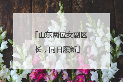 山东两位女副区长，同日履新