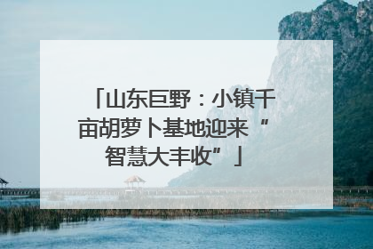 山东巨野：小镇千亩胡萝卜基地迎来“智慧大丰收”