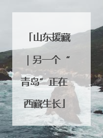 山东援藏｜另一个“青岛”正在西藏生长