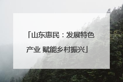山东惠民：发展特色产业 赋能乡村振兴