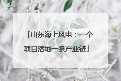 山东海上风电：一个项目落地一条产业链