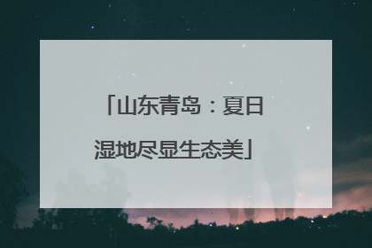 山东青岛：夏日湿地尽显生态美
