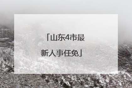 山东4市最新人事任免