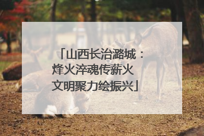 山西长治潞城：烽火淬魂传薪火 文明聚力绘振兴