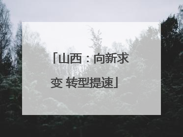 山西：向新求变 转型提速