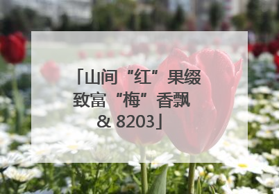 山间“红”果缀 致富“梅”香飘& 8203