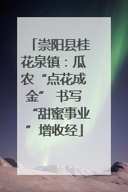 崇阳县桂花泉镇：瓜农“点花成金” 书写“甜蜜事业”增收经