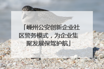 嵊州公安创新企业社区警务模式，为企业集聚发展保驾护航
