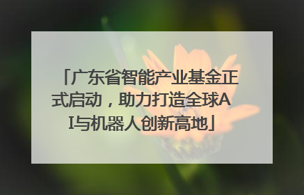广东省智能产业基金正式启动，助力打造全球AI与机器人创新高地