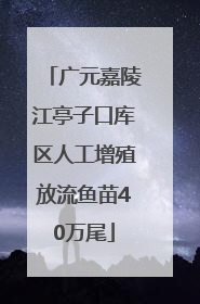广元嘉陵江亭子口库区人工增殖放流鱼苗40万尾