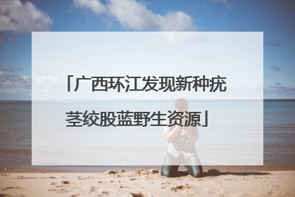 广西环江发现新种疣茎绞股蓝野生资源