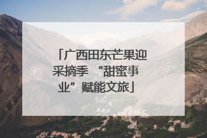 广西田东芒果迎采摘季 “甜蜜事业”赋能文旅