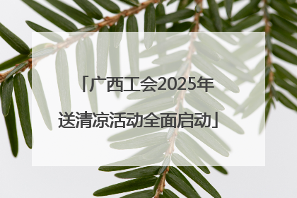 广西工会2025年送清凉活动全面启动