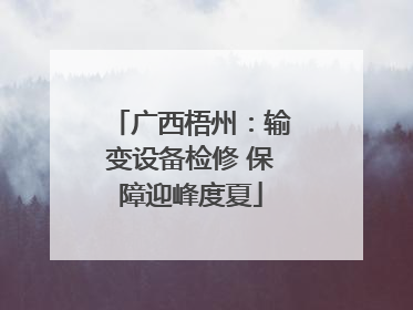 广西梧州：输变设备检修 保障迎峰度夏
