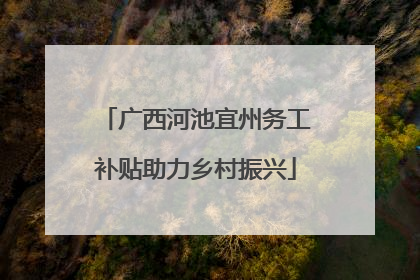广西河池宜州务工补贴助力乡村振兴