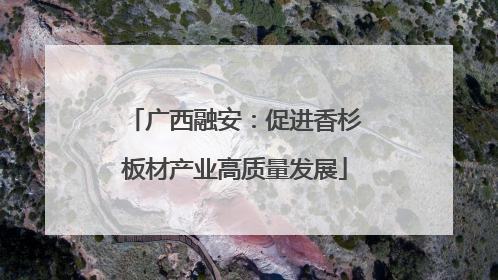 广西融安：促进香杉板材产业高质量发展