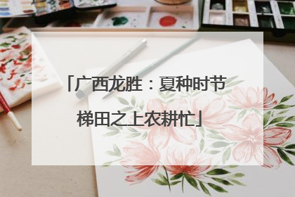 广西龙胜：夏种时节 梯田之上农耕忙