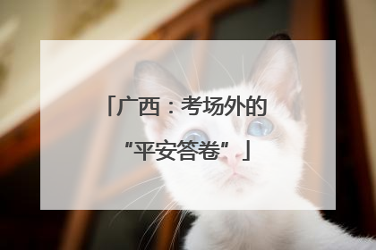广西：考场外的“平安答卷”