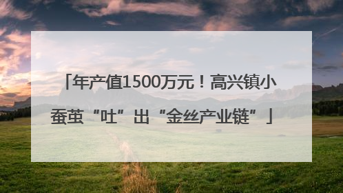 年产值1500万元！高兴镇小蚕茧“吐”出“金丝产业链”