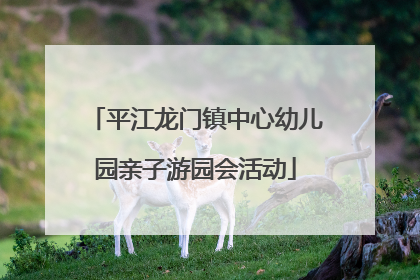 平江龙门镇中心幼儿园亲子游园会活动