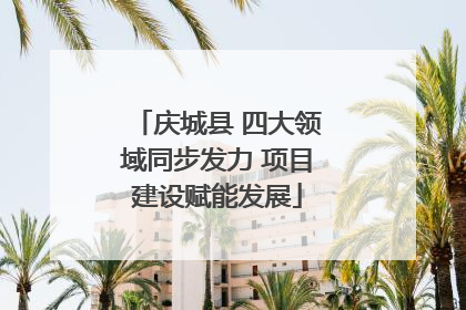 庆城县 四大领域同步发力 项目建设赋能发展
