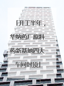 开工半年，华纳药厂原料药新基地四大车间封顶