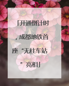 开通倒计时，成都地铁首座“无柱车站”亮相