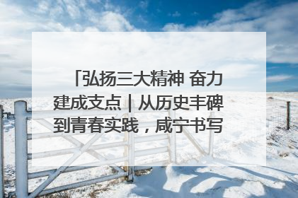 弘扬三大精神 奋力建成支点｜从历史丰碑到青春实践，咸宁书写精神传承新篇章
