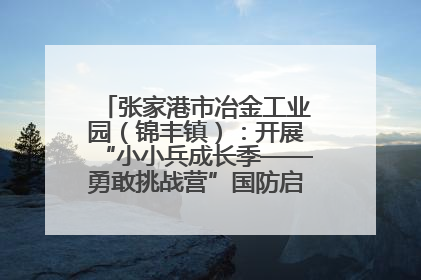 张家港市冶金工业园（锦丰镇）：开展“小小兵成长季——勇敢挑战营”国防启蒙教育活动
