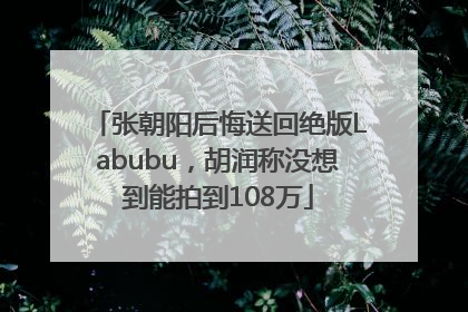 张朝阳后悔送回绝版Labubu，胡润称没想到能拍到108万