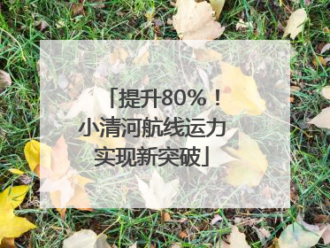 提升80％！小清河航线运力实现新突破